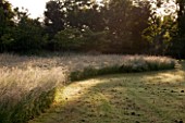 THE GRAY HOUSE  OXFORDSHIRE  DESIGNED BY TIM REES. THE MEADOW AT DAWN