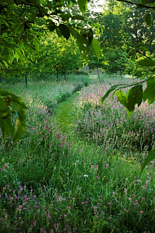 THE_GRAY_HOUSE__OXFORDSHIRE__DESIGNED_BY_TIM_REES_A_PATH_THROUGH_THE_MEADOW