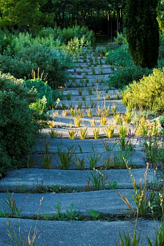 CHATEAU_PLAISIR__FRANCE__DESIGNER_PASCAL_CRIBIER__THE_DRY_GARDEN_IN_EVENING_LIGHT_WITH_CONCRETE_SLAB