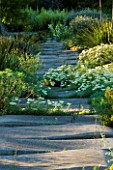 CHATEAU PLAISIR  FRANCE  DESIGNER: PASCAL CRIBIER - THE DRY GARDEN IN EVENING LIGHT WITH CONCRETE SLABS  DASYLIRION WHEELERI  HELICHRYSUM ORIENTALE AND ACHILLEA NOBILIS