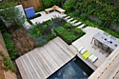 DES:CHARLOTTE ROWE. VIEW ONTO FORMAL TOWN/CITY GARDEN IN LONDON WITH DECKING  BOX CUBES  AGAPANTHUS ENIGMA  SALVIA MAINACHT  PURPURESCENS AND CARADONNA  CAREX BUCHANANII