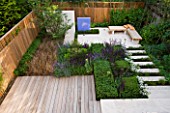 DES:CHARLOTTE ROWE. VIEW ONTO FORMAL TOWN/CITY GARDEN IN LONDON WITH DECKING  BOX CUBES  AGAPANTHUS ENIGMA  SALVIA MAINACHT  PURPURESCENS AND CARADONNA  CAREX BUCHANANII