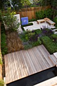 DES:CHARLOTTE ROWE. VIEW ONTO FORMAL TOWN/CITY GARDEN IN LONDON WITH DECKING  POOL  BOX CUBES  SALVIA MAINACHT  PURPURESCENS AND CARADONNA AND CAREX BUCHANANII. SEATING AREA