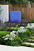 DESIGNER: CHARLOTTE ROWE  LONDON: FORMAL TOWN/CITY GARDEN WITH WHITE AGAPANTHUS ENIGMA  SALVIA MAINACHT PURPURESCENS & CARADONNA   WOODEN FENCE/TRELLIS AND BLUE FEATURE WALL