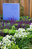 DESIGNER: CHARLOTTE ROWE  LONDON: FORMAL TOWN/CITY GARDEN WITH AGAPANTHUS ENIGMA SALVIA MAINACHT  PURPURESCENS & CARADONNA. BLUE FEATURE WALL