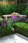DESIGNER: CHARLOTTE ROWE  LONDON: FORMAL TOWN/CITY GARDEN WITH WOODEN CORNER BENCH/ SEAT AND DECK. BOX CUBES  SALVIA MAINACHT  PURPURESCENS & CARADONNA
