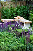 DESIGNER: CHARLOTTE ROWE  LONDON: FORMAL TOWN/CITY GARDEN WITH WOODEN CORNER BENCH AND CUSHIONS WITH PLANTING INCLUDING SALVIA MAINACHT  PURPURESCENS & CARADONNA. BOX CUBES