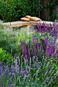 DESIGNER: CHARLOTTE ROWE  LONDON: FORMAL TOWN/CITY GARDEN WITH WOODEN CORNER BENCH AND CUSHIONS WITH PLANTING INCLUDING SALVIA MAINACHT  PURPURESCENS & CARADONNA.
