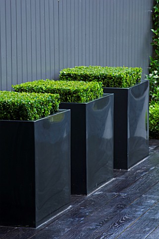 TANIA_LAURIE__LONDON_SMALL_CONTEMPORARY_GARDEN_BY_CHARLOTTE_ROWE_BLACK_METAL_SQUARE_PLANTERS_WITH_BO