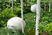HAMPTON COURT FLOWER SHOW 2008: FOREST GARDEN DESIGNED BY IVAN TUCKER - WOODLAND PLANTING WITH BETULA UTILIS VAR JACQUEMONTII DOORENBOS . WHITE BOULDER SEAT
