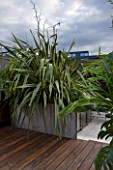 CONTEMPORARY FORMAL ROOF TERRACE/ GARDEN DESIGNED BY DATA NATURE ASSOCIATES: DECKED TERRACE WITH RAISED METAL BED WITH PHORMIUM