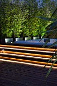 CONTEMPORARY FORMAL ROOF TERRACE/ GARDEN DESIGNED BY DATA NATURE ASSOCIATES: DECK AREA WITH JACUZZI AND BAMBOOS. NIGHT. LIGHTING