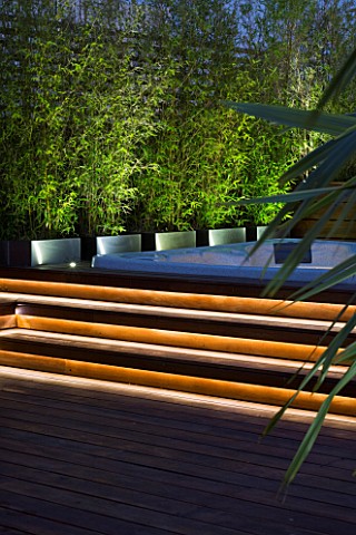 CONTEMPORARY_FORMAL_ROOF_TERRACE_GARDEN_DESIGNED_BY_DATA_NATURE_ASSOCIATES_DECK_AREA_WITH_JACUZZI_AN