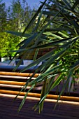 CONTEMPORARY FORMAL ROOF TERRACE/ GARDEN DESIGNED BY DATA NATURE ASSOCIATES: DECK AREA WITH JACUZZI AND BAMBOOS  PHORMIUM IN THE FOREGROUND. NIGHT. LIGHTING