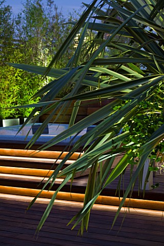CONTEMPORARY_FORMAL_ROOF_TERRACE_GARDEN_DESIGNED_BY_DATA_NATURE_ASSOCIATES_DECK_AREA_WITH_JACUZZI_AN