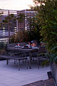 CONTEMPORARY FORMAL ROOF TERRACE/ GARDEN DESIGNED BY DATA NATURE ASSOCIATES: SEATING AREA AT NIGHT WITH LIGHTING. TABLE  CHAIRS  TRELLIS AND RAISED BEDS