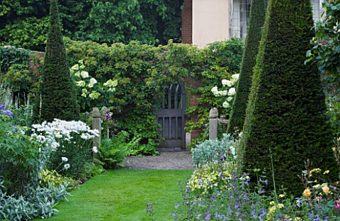 WOLLERTON_OLD_HALL__SHROPSHIRE_VIEW_FROM_THE_YEW_WALK_TOWARDS_GATEENTRANCE_WITH_HYDRANGEA_PANICULATA