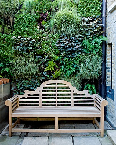 ARCHITECT_CHRIS_DYSONS_HOUSE_SEAT_IN_FRONT_OF_THE_GREEN_LIVING_WALL