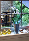 ARCHITECT CHRIS DYSONS HOUSE: VIEW OUT OF THE WINDOW WITH WHITE ORCHID IN A METAL BUCKET