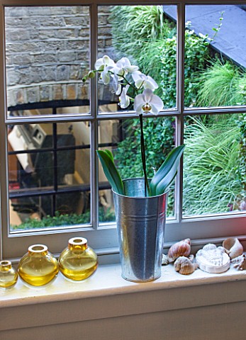 ARCHITECT_CHRIS_DYSONS_HOUSE_VIEW_OUT_OF_THE_WINDOW_WITH_WHITE_ORCHID_IN_A_METAL_BUCKET