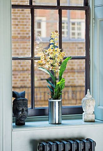 ARCHITECT_CHRIS_DYSONS_HOUSE_THE_LIVING_ROOM__WINDOW_SILL_WITH_ORCHID_IN_A_METAL_CONTAINER
