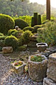 PROVENCE  FRANCE: GARDEN OF NICOLE DE VESIAN  LA LOUVE: STONE CONTAINERS PLANTED WITH SUCCULENTS ON TERRACE AT DAWN WITH TOPIARY SHAPES BEYOND
