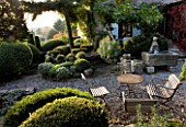 PROVENCE  FRANCE: GARDEN OF NICOLE DE VESIAN  LA LOUVE: GRAVEL TERRACE BESIDE THE HOUSE WITH METAL TABLE AND CHAIRS  CLIPPED TOPIARY SHAPES AND AN OLD WELL
