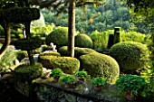 PROVENCE  FRANCE: GARDEN OF NICOLE DE VESIAN  LA LOUVE: GRAVEL TERRACE BESIDE THE HOUSE AT DAWN WITH CLIPPED TOPIARY SHAPES AND VIEW OUT ONTO COUNTRYSIDE (GARRIGUE) BEYOND