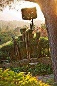 PROVENCE  FRANCE: GARDEN OF NICOLE DE VESIAN  LA LOUVE: CLIPPED TOPIARY AT DAWN WITH VIEWS OUT ONTO THE COUNTRYSIDE BEYOND