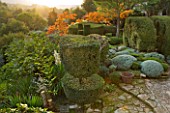 PROVENCE  FRANCE: GARDEN OF NICOLE DE VESIAN  LA LOUVE: CLIPPED TOPIARY AND SANTOLINA AT DAWN WITH TERRACES AND COUNTRYSIDE (GARRIGUE) BEYOND