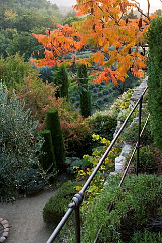 PROVENCE__FRANCE_GARDEN_OF_NICOLE_DE_VESIAN__LA_LOUVE_VIEW_TO_LOWER_TERRACE_WITH_RHUS_TYPHINA_STAGS_