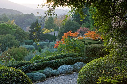 PROVENCE__FRANCE_GARDEN_OF_NICOLE_DE_VESIAN__LA_LOUVE_CLIPPED_TOPIARY_AND_RHUS_TYPHINA_STAGS_HORN_SU