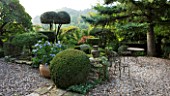 PROVENCE  FRANCE: GARDEN OF NICOLE DE VESIAN  LA LOUVE: GRAVEL TERRACE WITH METAL TABLE AND CHAIRS AND CLIPPED TOPIARY SHAPES