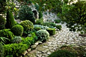 PROVENCE  FRANCE: GARDEN OF NICOLE DE VESIAN  LA LOUVE: STONE TERRACE AND WALL WITH STONE BENCH AND CLIPPED SHAPES