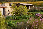 PROVENCE  FRANCE: DOMAINE DE LA VERRIERE: VINEYARDS AND THE WALLED VEGETABLE GARDEN PLANTED WITH FIGS AND COSMOS