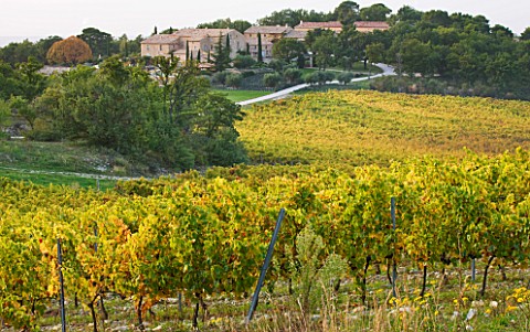 PROVENCE__FRANCE_DOMAINE_DE_LA_VERRIERE_THE_PROPERTY_VIEWED_FROM_THE_VINEYARDS