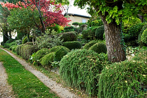 GARDEN_OF_ERIK_BORJA__FRANCE_PATH_EDGED_WITH_ROSEMARY_AND_TOPIARY_CLIPPED_LONICERA_NITIDA