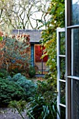 GARDEN OF GARDEN DESIGNER TIM REES  LONDON: BLUE OFFICE/BUILDING AT END OF GARDEN IN AUTUMN WITH BEECH HEDGING  WISTERIA ON HOUSE WALL