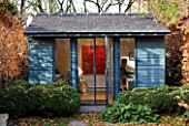 GARDEN OF GARDEN DESIGNER TIM REES  LONDON: TIM REES SITS IN HIS BLUE OFFICE/BUILDING AT END OF GARDEN IN AUTUMN WITH BEECH HEDGING AND CLOUD BOX HEDGING