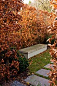 GARDEN OF GARDEN DESIGNER TIM REES  LONDON: THE GARDEN IN AUTUMN WITH CONCRETE SEAT/ BENCH AND CLOUD PRUNED BOX HEDGING AND BEECH HEDGE
