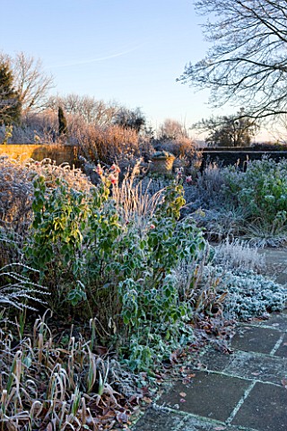 WOLLERTON_OLD_HALL__SHROPSHIRE_WINTER_GARDEN_IN_FROST___VIEW_ACROSS_LANHYDROCK_GARDEN_AT_DAWN_WITH_R