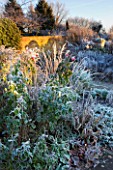 WOLLERTON OLD HALL  SHROPSHIRE: WINTER GARDEN IN FROST -  VIEW ACROSS LANHYDROCK GARDEN AT DAWN WITH ROSES AND AN URN IN B ACKGROUND