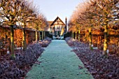 WOLLERTON OLD HALL  SHROPSHIRE: WINTER GARDEN IN FROST -  VIEW ALONG THE LIME ALLEE TO THE HOUSE AT DAWN WITH CLIPPED BEECH HEDGE  TILIA PLATYPHYLLOS RUBRA  AND SAGE
