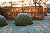 WOLLERTON OLD HALL  SHROPSHIRE: WINTER GARDEN IN FROST -  THE FONT GARDEN WITH CLIPPED BOX BALLS AND BEECH HEDGING. DAWN LIGHT