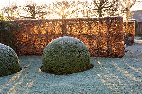 WOLLERTON_OLD_HALL__SHROPSHIRE_WINTER_GARDEN_IN_FROST___THE_FONT_GARDEN_WITH_CLIPPED_BOX_BALLS_AND_B