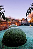 WOLLERTON OLD HALL  SHROPSHIRE: WINTER GARDEN IN FROST -  THE FONT GARDEN WITH CLIPPED BOX BALLS AND BEECH HEDGING. HOUSE IN BACKGROUND. DAWN LIGHT