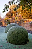 WOLLERTON OLD HALL  SHROPSHIRE: WINTER GARDEN IN FROST -  THE FONT GARDEN WITH CLIPPED BOX BALLS AND BRICK WALL WITH ORNATE METAL GATE BEHIND. DAWN LIGHT