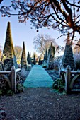 WOLLERTON OLD HALL  SHROPSHIRE: WINTER GARDEN IN FROST -  GRASS PATH ALONG THE YEW WALK WITH CLIPPED YEW TOPIARY PYRAMIDS AND OAK BALUSTRADES