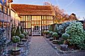 WOLLERTON OLD HALL  SHROPSHIRE: WINTER GARDEN IN FROST -  THE BACK OF THE HOUSE WITH OAK BENCH/ SEAT AND CLIPPED BOX TOPIARY  LOLLIPOPS IN HALF BARREL CONTAINERS