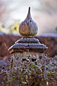 WOLLERTON OLD HALL  SHROPSHIRE: WINTER GARDEN IN FROST -  DETAIL OF FINIAL OF BEAUTIFUL OAK TRIPOD FOR CLIMBING PLANTS IN THE OLD GARDEN BY THE BACK OF THE HOUSE. DAWN LIGHT